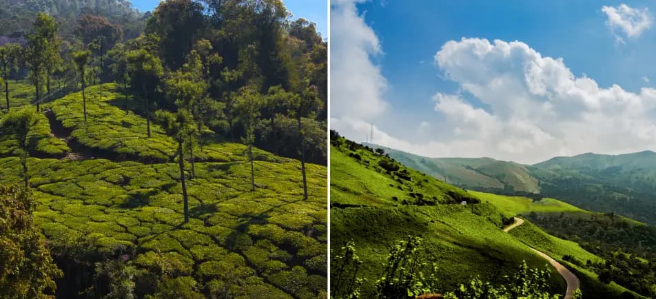 Chikmagalur vs. Coorg: Which Coffee Capital Wins Your Next Weekend?