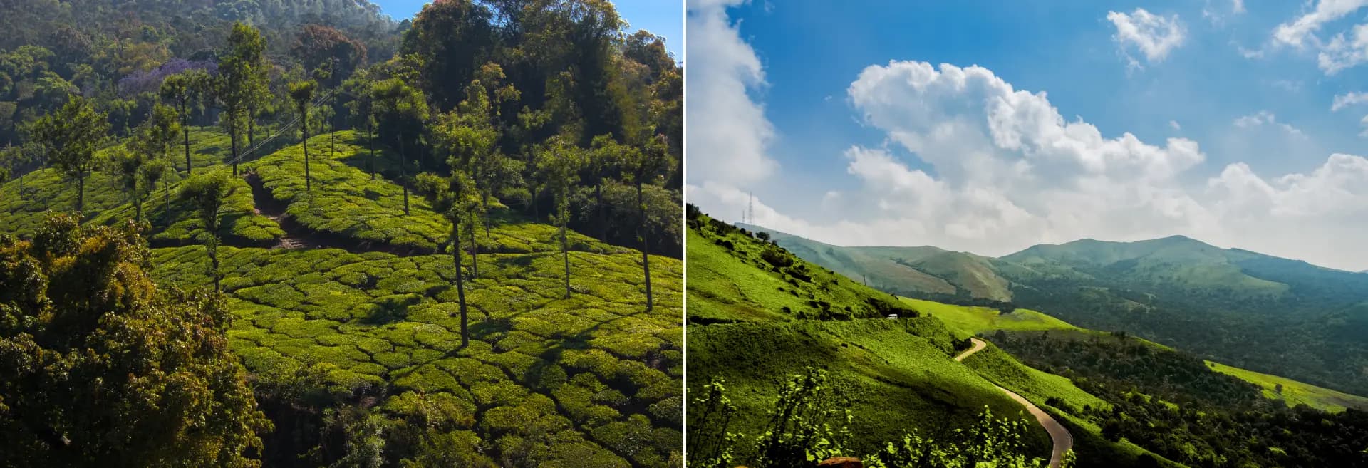 Chikmagalur vs. Coorg: Which Coffee Capital Wins Your Next Weekend?